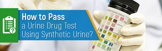 Can Synthetic Urine Be 
      Detected In A Lab Zephyr Grove Tampa FL